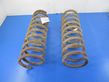 Front coil spring