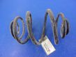 Rear coil spring