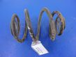 Rear coil spring