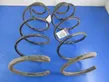 Front coil spring