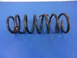 Rear coil spring