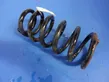 Front coil spring