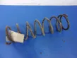 Rear coil spring