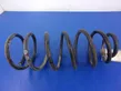 Front coil spring