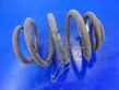 Rear coil spring