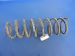 Rear coil spring