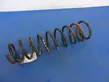 Front coil spring