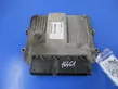 Engine control unit/module ECU