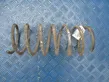 Front coil spring