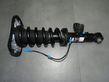 Rear shock absorber with coil spring