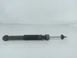 Rear shock absorber/damper