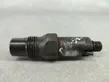 Injecteur de carburant