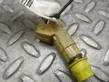 Injecteur de carburant