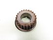 Timing chain sprocket