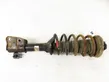 Front shock absorber with coil spring