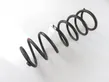 Rear coil spring