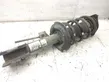 Front shock absorber with coil spring