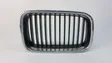 Front bumper upper radiator grill