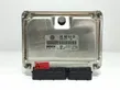 Engine control unit/module ECU