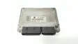 Engine control unit/module ECU