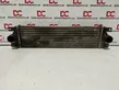 Intercooler radiator