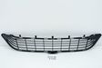 Front bumper lower grill