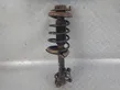 Front shock absorber with coil spring