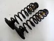 Rear coil spring