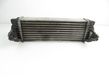 Intercooler radiator