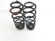 Rear coil spring