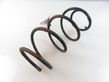 Front coil spring