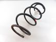 Front coil spring