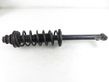 Rear shock absorber with coil spring