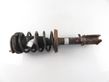 Front shock absorber with coil spring