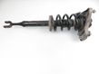 Front shock absorber with coil spring