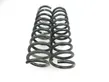 Rear coil spring