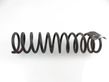 Rear coil spring