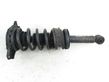 Rear shock absorber with coil spring