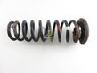 Rear coil spring