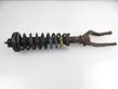 Front shock absorber with coil spring