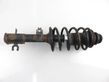 Front shock absorber with coil spring