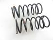 Rear coil spring