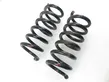 Front coil spring