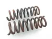 Rear coil spring