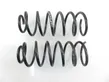 Front coil spring