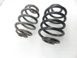 Rear coil spring