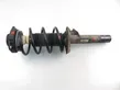 Front shock absorber with coil spring