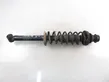 Rear shock absorber with coil spring