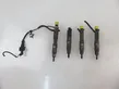 Fuel injectors set