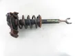 Front shock absorber with coil spring